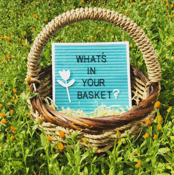 What’s In Your Basket? Valley of the Moon Learning